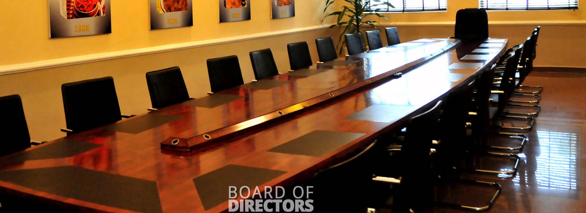 Board of Directors | Captain Pipes Ltd.