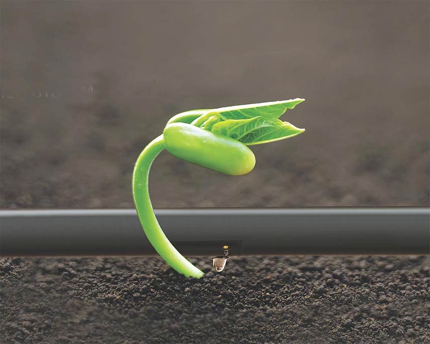 /Irrigation Equipments